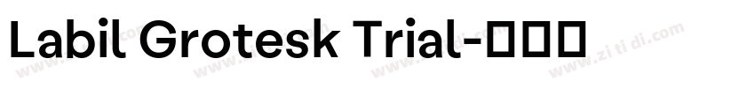 Labil Grotesk Trial字体转换 Labil Grotesk Trial字体转换